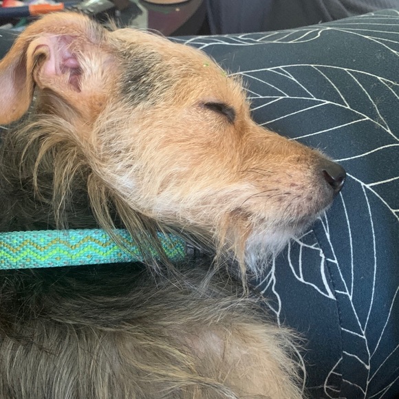 Meet your Posher, Craig - Picture 1 of 1